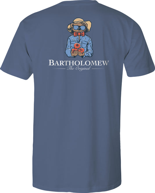 Toddler Short Sleeve Cotton Tee Shirt - Apple Picking - Slate
