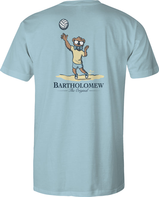 Toddler Short Sleeve Cotton Tee Shirt - Volley - Sky Blue