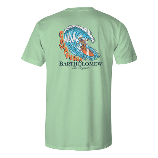 Toddler Short Sleeve  Cotton Tee Shirt - Cowabunga -Mint