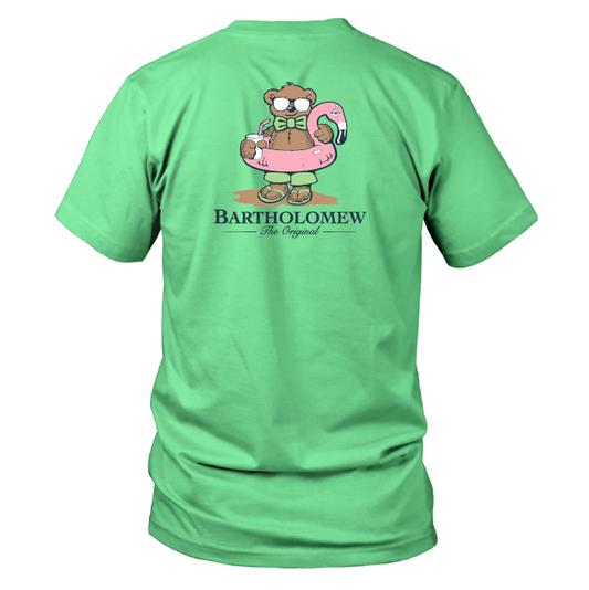 Toddler Short Sleeve Cotton Tee Shirt - Flamingo - Mint Green